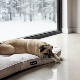 Tapis coussin pour animaux