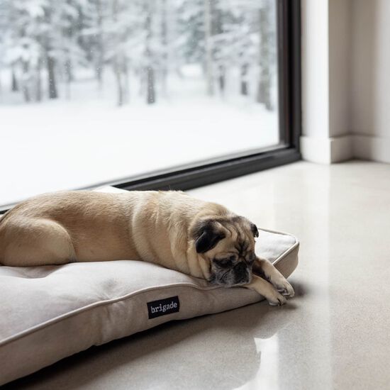 Tapis coussin pour animaux Image NaN