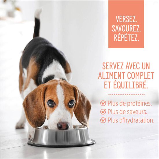 Garniture Style maison bol de saumon et riz rouge pour chiens, 152 g Image NaN