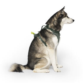 Neoprene Harness with Poop Bag Dispenser for Dogs