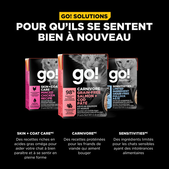 Pâté « Carnivore » de saumon et morue sans grains pour chats, 182 g Image NaN