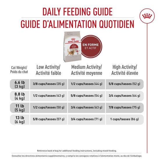 Nourriture pour chats adultes d'extérieur Image NaN