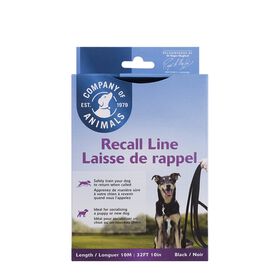 Recall line, 32 feet