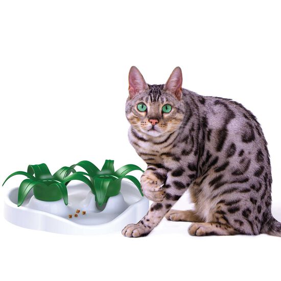 Bol interactif «Thin Kat» vert pour chats Image NaN