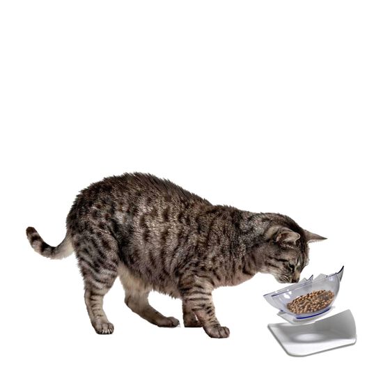 Ergonomic cat double bowl feeder Image NaN