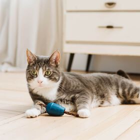 Jouet OBEE! Stuff pour chats