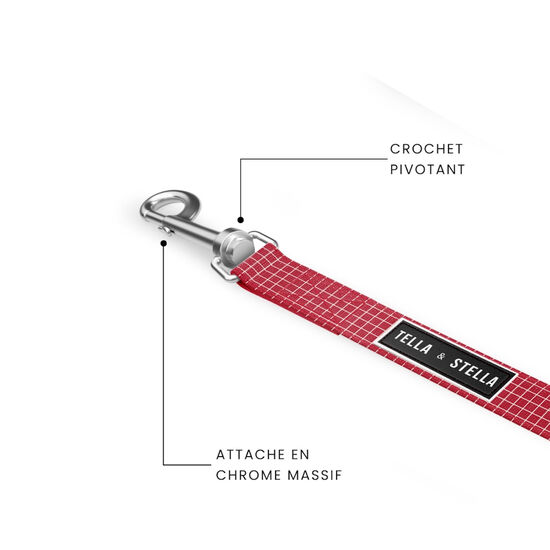 Laisse pour chiens Image NaN