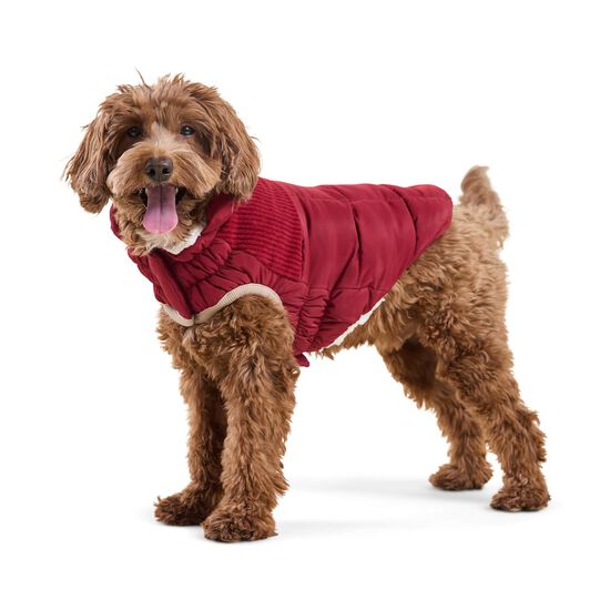 Manteau Elasto-fit&reg; Montagne froide pour chiens, Cerise givr&eacute;e Image NaN