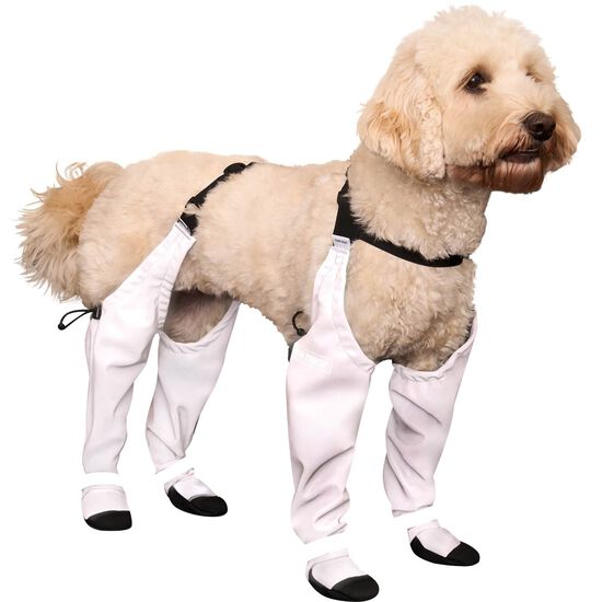 Reflective Suspender Boots for Dogs Image NaN