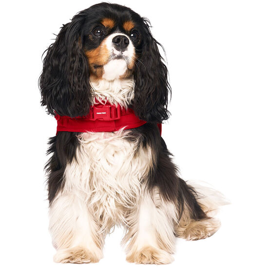 The Harness Puffer for Dogs Image NaN