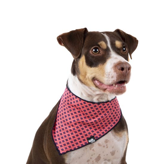 Bandana en coton pour chiens et chats Image NaN