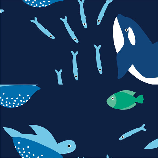 Collier réglable « Meeting maritime » pour chiens Image NaN