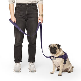 Jacquard Leash for Dogs