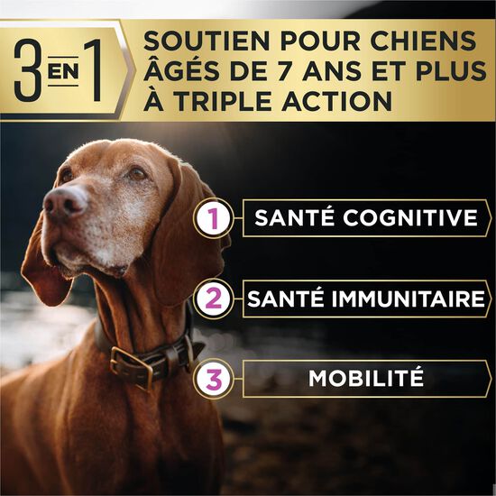 Nourriture s&egrave;che AdvantEDGE Soutien+ s&eacute;nior bouch&eacute;es &agrave; la viande au poulet et riz pour chiens, 10 kg Image NaN