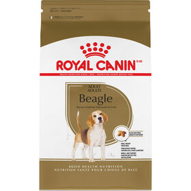 Nourriture sèche pour chiens Beagle adultes