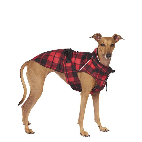 Manteau « Expedition » 2.0, 22 Image NaN