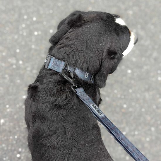 Laisse pour chien en silicone, Carreaux acad&eacute;mie Image NaN