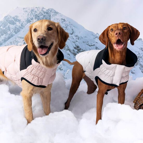 Elasto-fit Diamond Puffer for Dogs Image NaN
