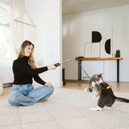 Agace-chat rétractable Image NaN