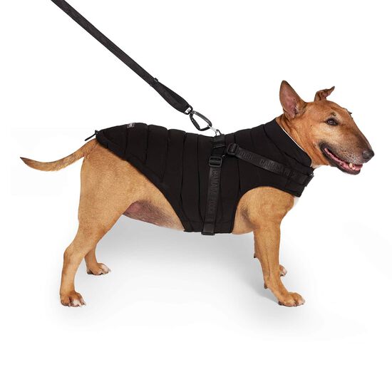 Veste rembourr&eacute;e avec harnais Image NaN