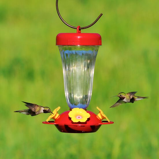 Mangeoire à colibris Finest Perky à remplissage par le haut Image NaN