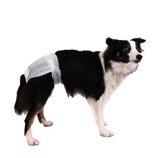 PoochPants Disposable Absorbent Diaper for Dogs, M Image NaN