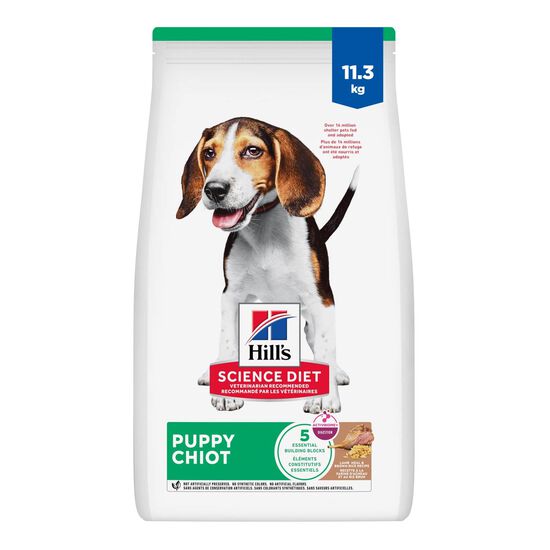 Nourriture sèche à la farine d’agneau et au riz brun pour chiots, 11,3 kg Image NaN