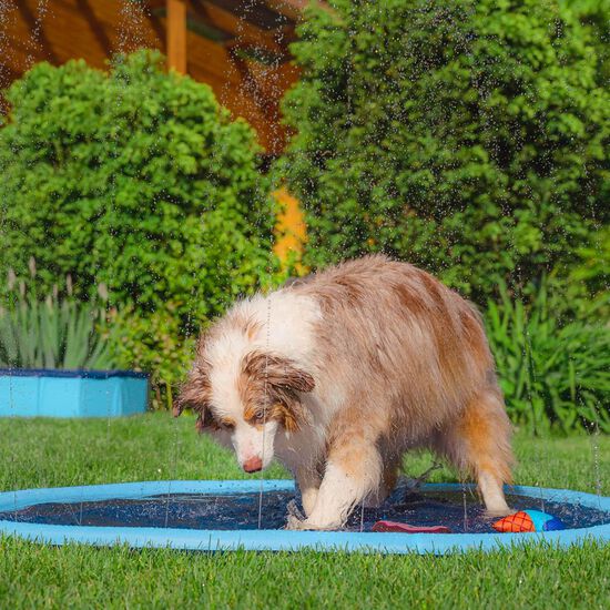 Tapis d'eau Image NaN