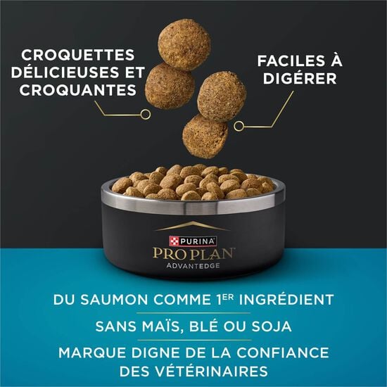Nourriture s&egrave;che AdvantEDGE Soutien+ digestif grandes race au saumon et farine d'avoine pour chiens, 10 kg Image NaN