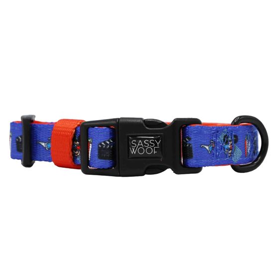 Ensemble de promenade Disney's Mickey Mouse Movie Night pour chiens Image NaN