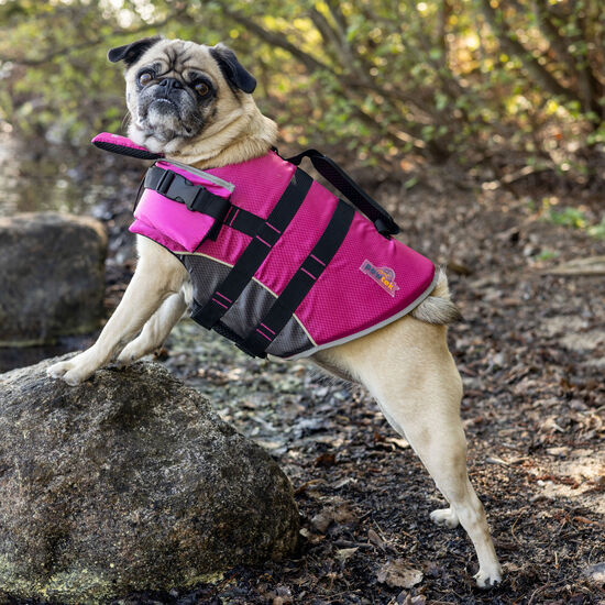 Gilet de sauvetage pour chiens Image NaN