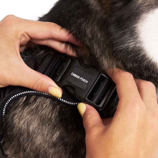 Harnais Complete Control pour chiens Image NaN