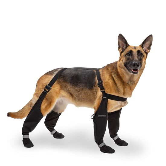 Bottes &agrave; bretelles pour chiens Image NaN
