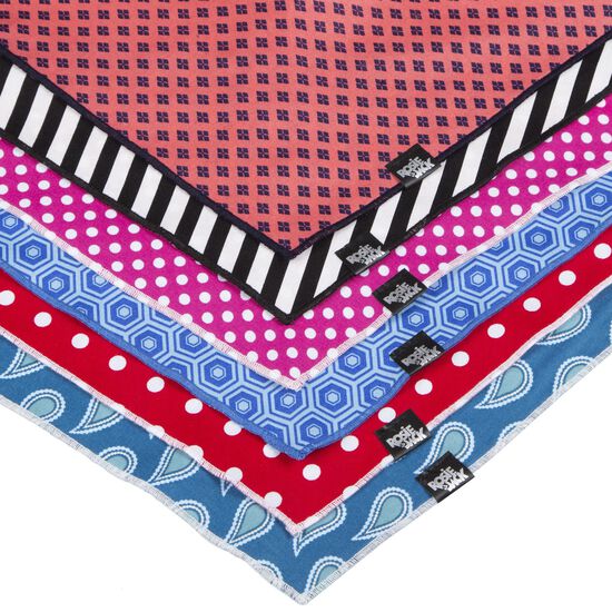 Bandana en coton pour chiens et chats Image NaN