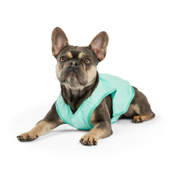 Ice Vest for Dogs Image NaN