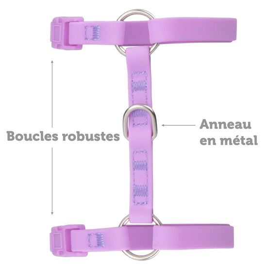 Ensemble harnais et laisse en silicone pour chats, Orchidee Image NaN