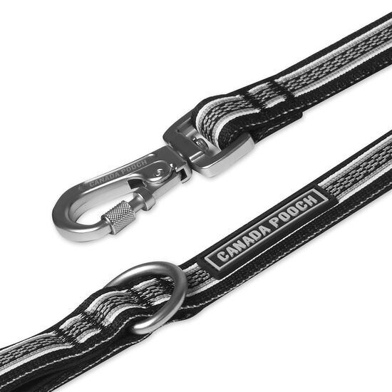 Jacquard Leash for Dogs Image NaN