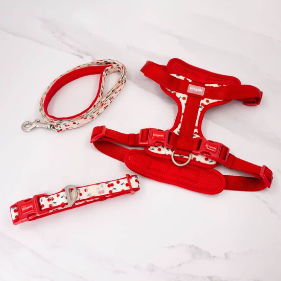 Neoprene Harness for Dogs, Cherries Image 3.0