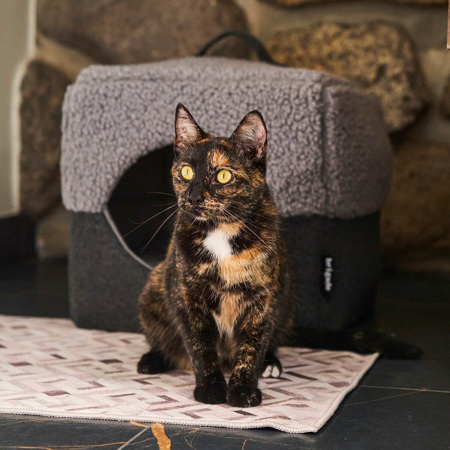Convertible Hideout for Pets Brigade | Mondou