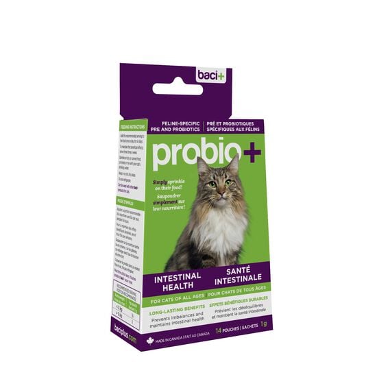 Pré et probiotiques pour chats Image NaN