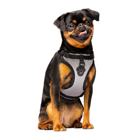 The Everything Harness for Dogs