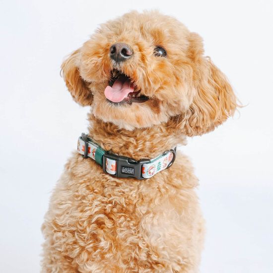 Peanuts&trade; Beagle Scouts Walkie Pack for Dogs Image NaN