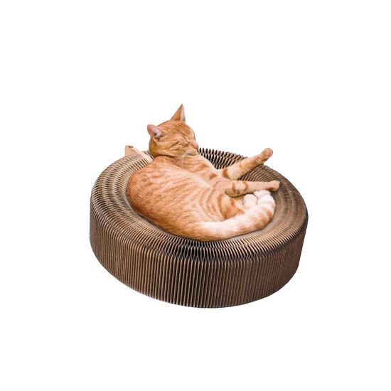Griffoir pliable pour chats Image NaN