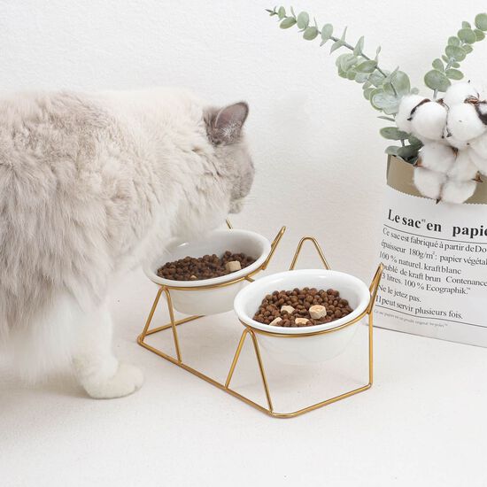 Double gamelle en c&eacute;ramique pour chats Image NaN