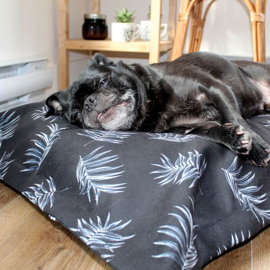 Housse pour coussin nuage, Black Palms Image NaN