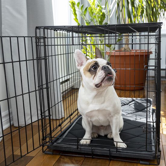 Orthopedic and Reversible Cage Bed, S Image NaN