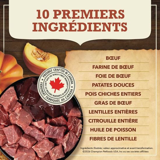 Beef with Pumpkin Recipe Singles Dry Food for Dogs, 10.8 kg Image NaN