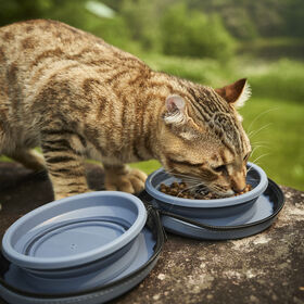 Collapsible Portable Silicone pet Bowls