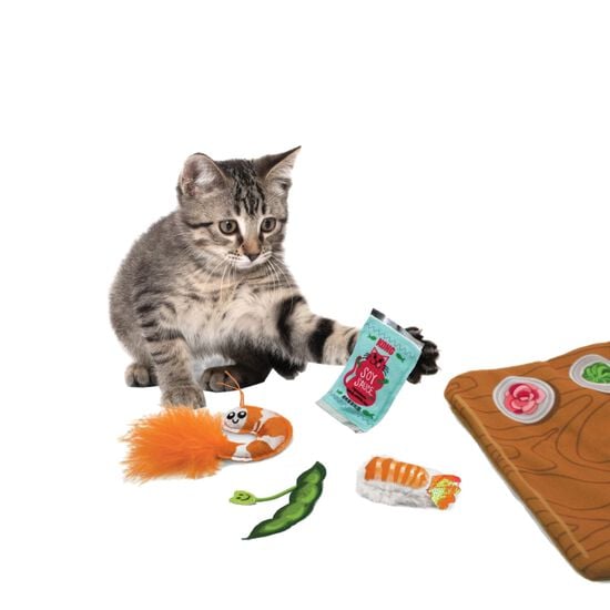 Pull-A-Partz™ Sushi Cat Toy Image NaN