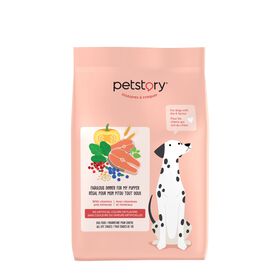 Salmon flavoured dry food for all breeds dog